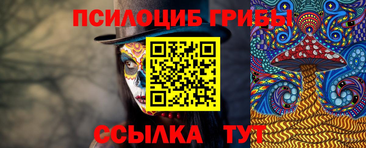 Ачхой-Мартан  Псилоцибиновые грибы GOLDEN TEACHER  Вход с VPN 