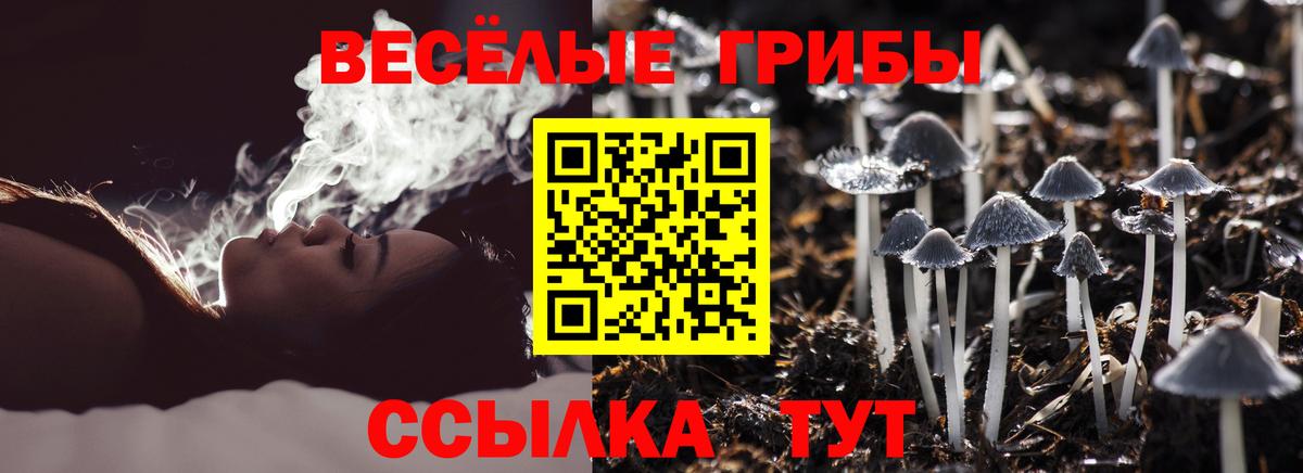 Галлюциногенные грибы прущие грибы Ачхой-Мартан